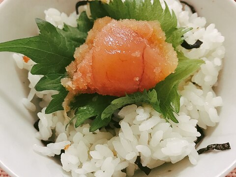 贅沢！！混ぜご飯にたらこのっけ丼